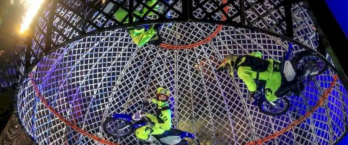 Cultura | Circo Luxor