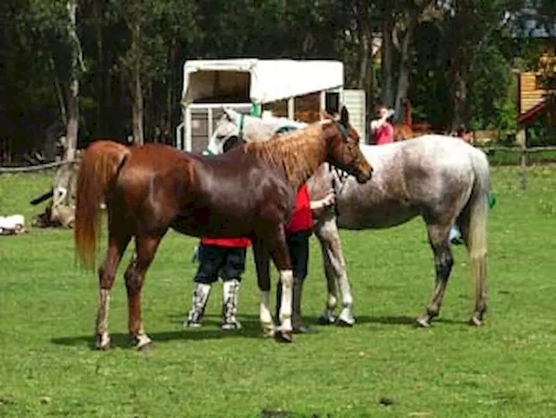 Endurance en Miramar | Miramarense