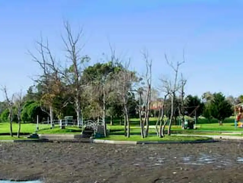 Reacondicionamiento del Parque Patricios | Miramarense