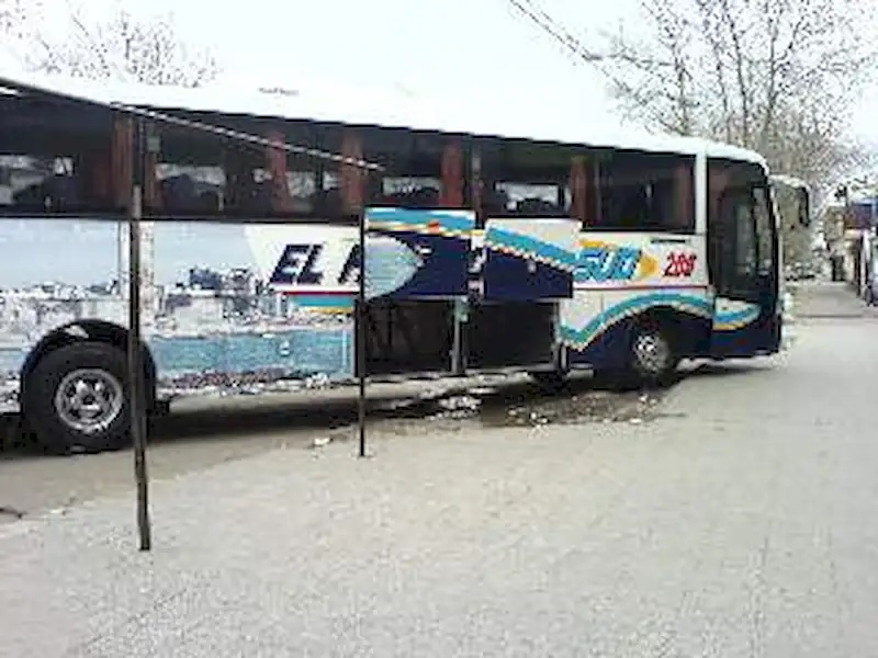 12 de octubre en Miramar | Miramarense