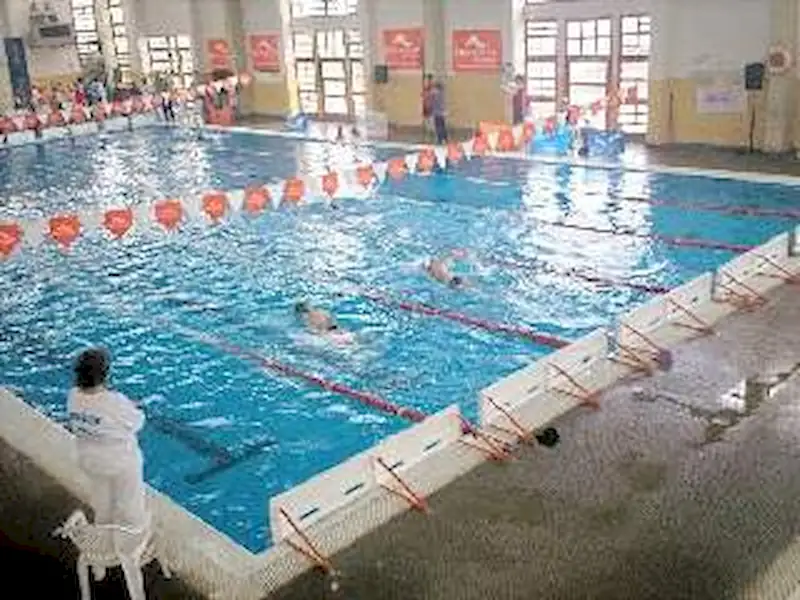 Torneo Provincial de Natación | Miramarense