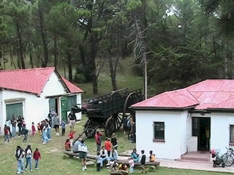 Hallan fosiles en Miramar | Miramarense