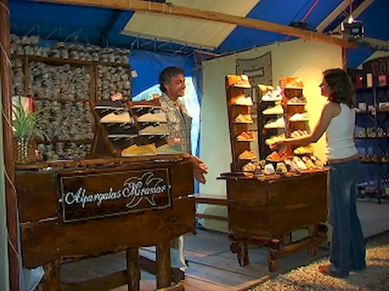 M.E.G.A abrio sus puertas al publico | Miramarense