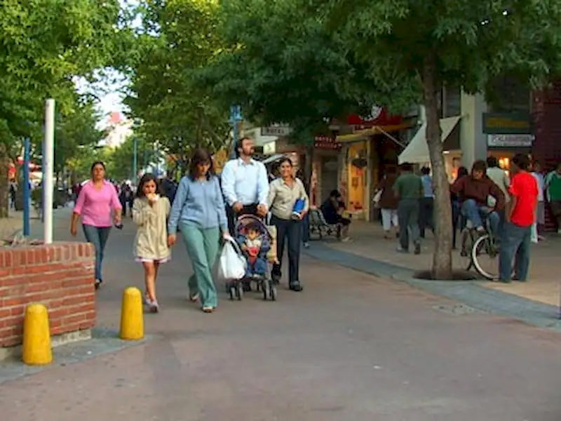 Programa de biodiesel en Miramar | Miramarense