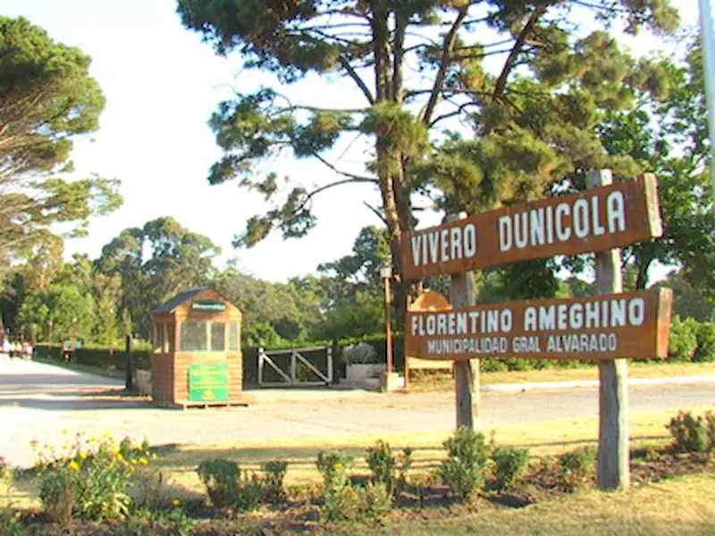 Concurso de Esculturas | Miramarense