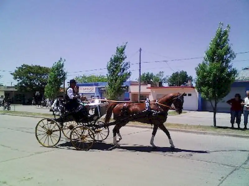 Turismo | Fiesta de la Tradición Frente al Mar