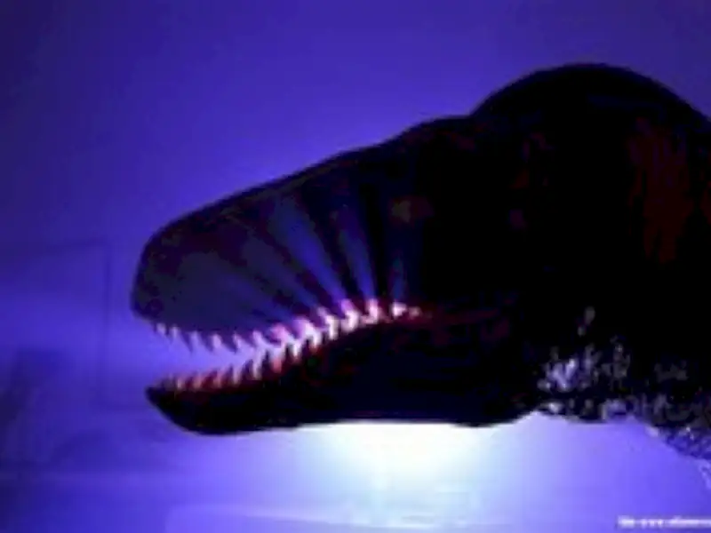 Los Dinosaurios cobran vida | Miramarense