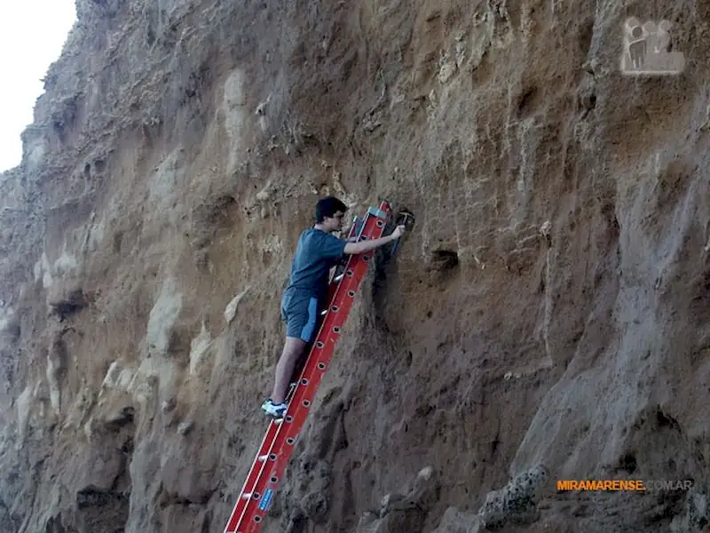 Presentarán un fósil hallado en Miramar en Nueva Zelanda | Miramarense