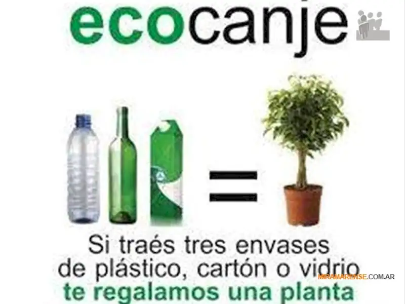 Local | Jornada de EcoCanje en Miramar
