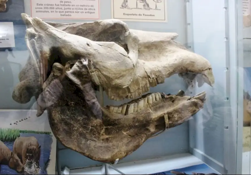 Cultura | Mañanas naturales en el Museo de Miramar