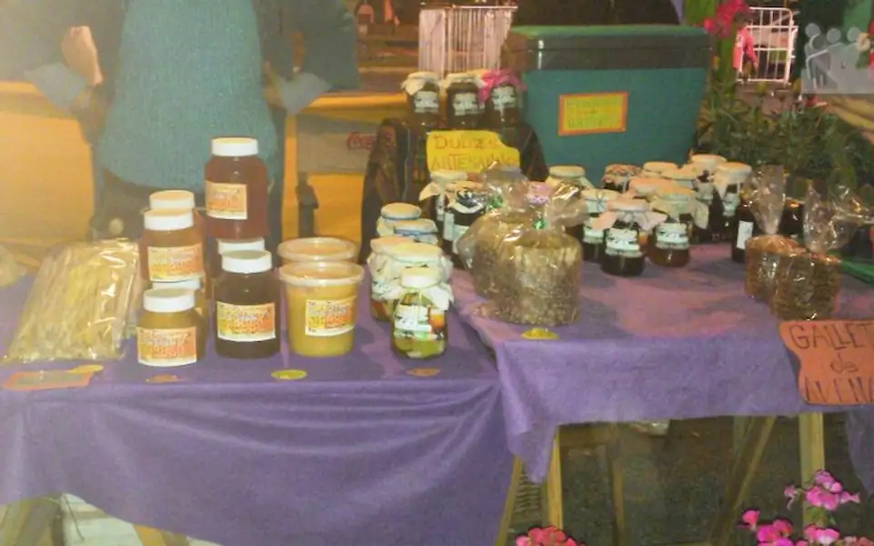 Local | Jornada de Reciclaje en la Feria Verde