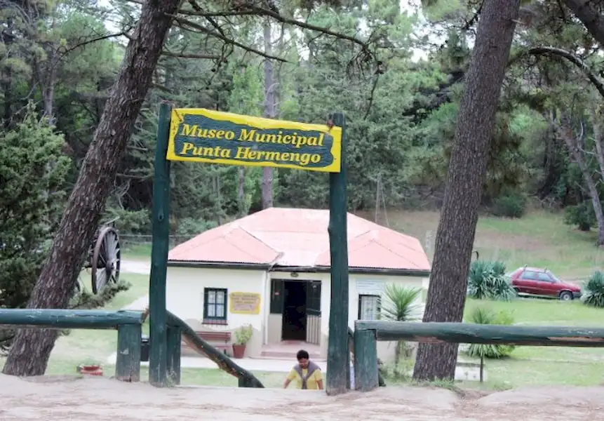 Encuentran un cráneo prehistórico en inmediaciones del Vivero | Miramarense