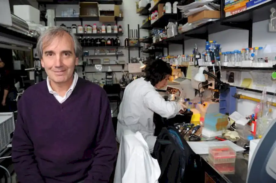 Alberto Kornblihtt disertará en Miramar | Miramarense