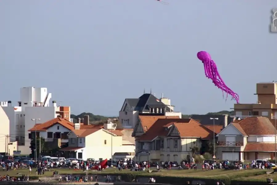 Turismo | Barriletes coparon el cielo de Miramar