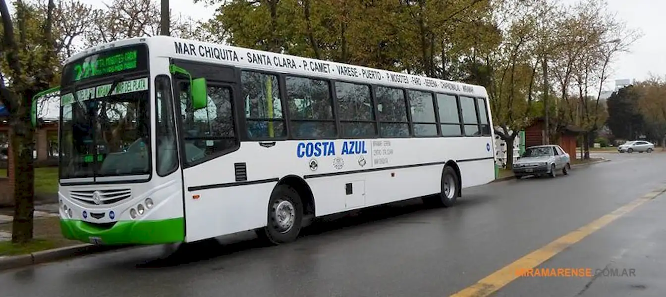 Local | Nueva Linea de Colectivos en Miramar