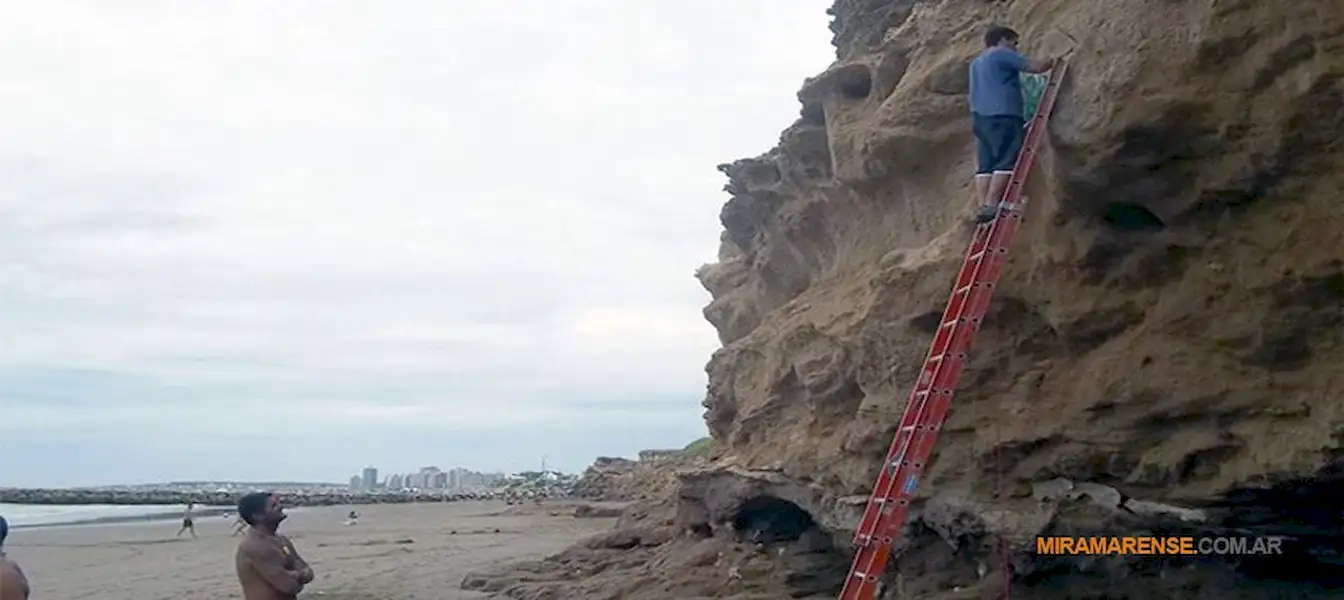 Guardavidas realizaron hallazgo paleontológico | Miramarense