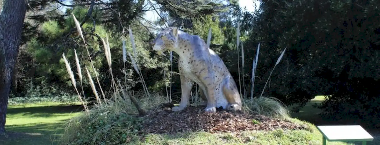 Cultura | Nueva sede del Museo de Ciencias Naturales de Miramar