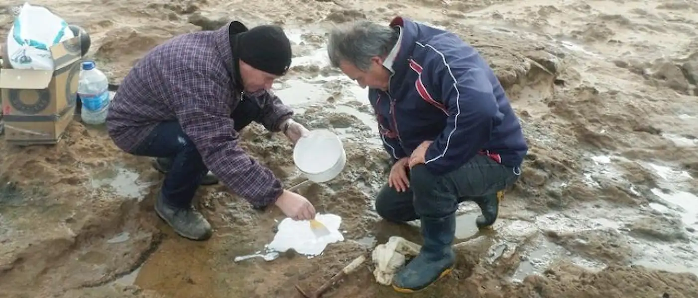 Recuperan gran cantidad de Fósiles para el Museo de Miramar | Miramarense