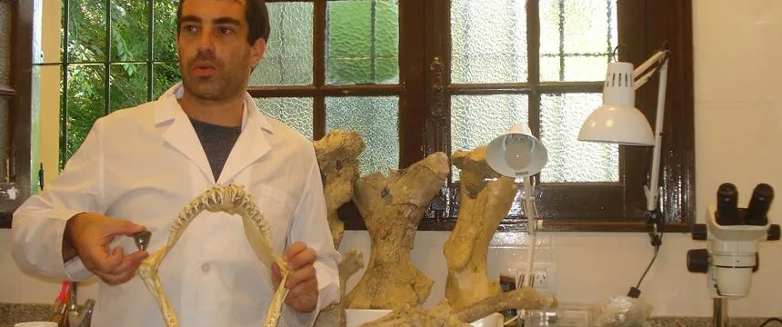 Hallan fósiles de un tiburón blanco prehistórico en Miramar | Miramarense