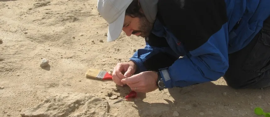 Encuentran un fósil de 100 mil años en Miramar | Miramarense