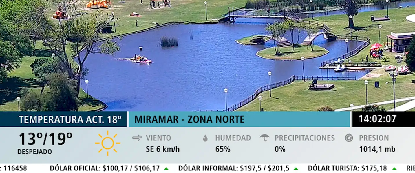 Local | Miramar en Vivo