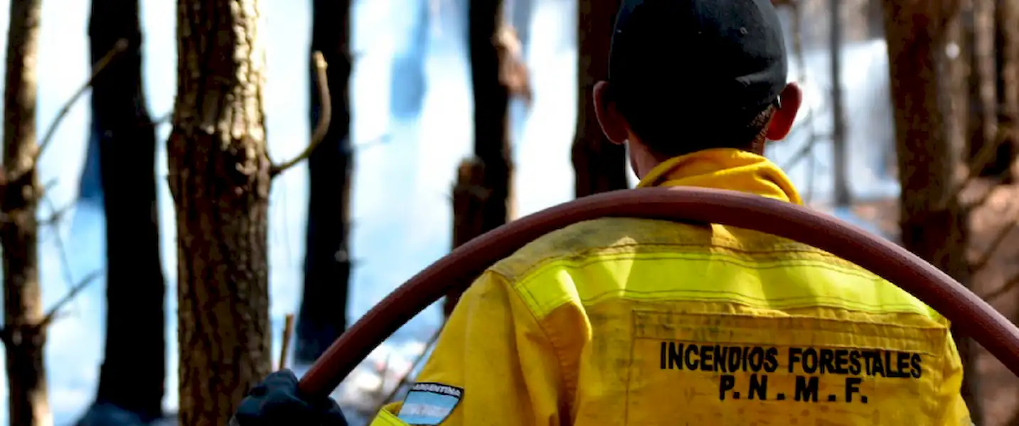 Local | Acciones preventivas ante la posibilidad de incendios forestales