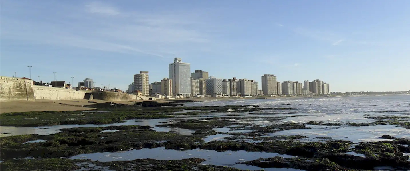 Local | Concurso de Vidrieras navideñas en Miramar