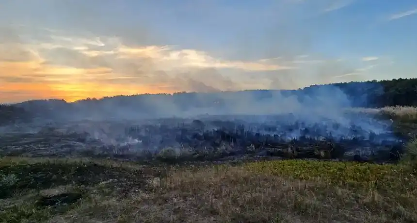 Bomberos contienen incendio en las cercanías del Vivero